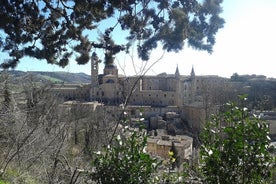 Visita del Palacio Ducal de Urbino