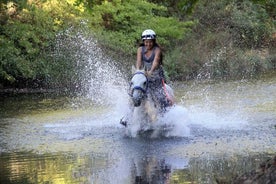 Esperienza di equitazione a Fethiye con servizio di trasferimento gratuito in hotel