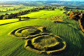 Boyne Valley, Meath-개인 해안 여행