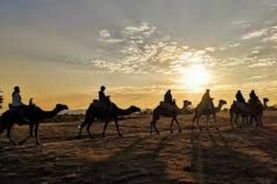 2 uur Cappadocië kameelritervaring