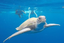 Kajakleið meðfram eldfjallaströndinni á Tenerife suður með snorkl