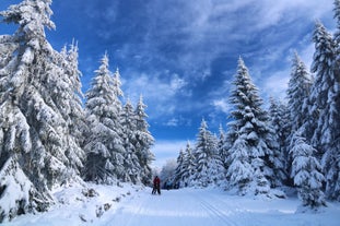 photo of panoramic view of Lana is a commune and a village in South Tyrol in northern Italy. It is situated in the Etschtal between Bolzano and Merano and at the entrance to the Ultental.