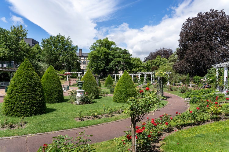 Photo of Shrubs trimmed in the form of cones and roses in Lecoq City Park in Clermont-Ferrand, France.