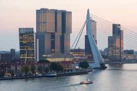 Rotterdam, Delft and The Hague Guided Tour from Amsterdam