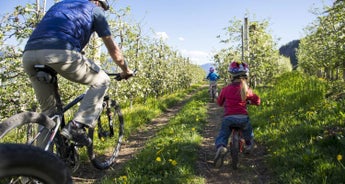 South Tyrol for families: From Merano to Lake Garda.