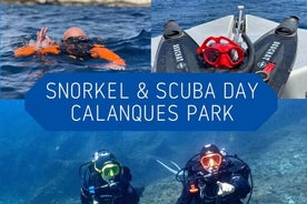 Snorkeling di un'intera giornata e immersioni guidate nel Parco Nazionale delle Calanche da Marsiglia