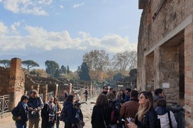 Pompeii-tour met toegangsticket!