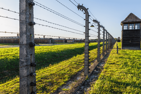 From Krakow: Auschwitz-Birkenau Guided Tour Guaranteed Time