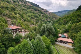 Excursión de cata de vinos y caminata por el Monasterio de San Cosme y Damián