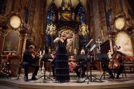 Concierto en la Catedral de San Esteban de Viena