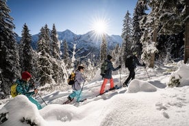 Schneeschuh- und Schlitten-Abenteuer in den Schweizer Alpen ab Interlaken