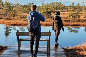 Great Ķemeri Bog and Swamp Forest Hiking Adventure