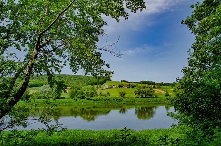 Photo of The San River in the Dynów-Przemyśl Foothills (Odkarpackie Voivodeship). Shore view.