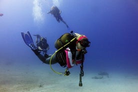 Scuba Diving Tour with Lunch & Roundtrip Transfer from Belek