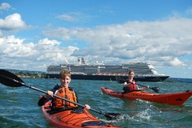 2 horas de viaje en kayak en el fiordo de Oslo