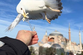 Istanbul: Besta borgarferðin, heilsdags með akstri