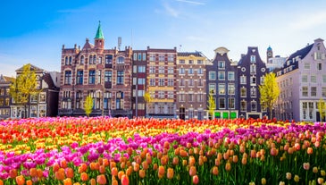 Brussels, Grand Place in beautiful summer sunrise, Belgium