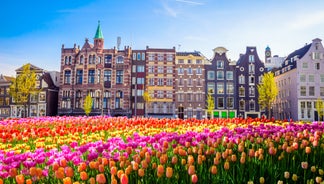 Amsterdam Netherlands dancing houses over river Amstel landmark in old european city spring landscape.