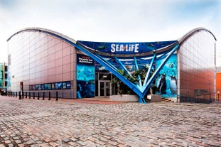 National SEA LIFE Centre Birmingham