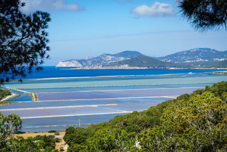 Natural park of ses Salines.jpg