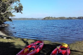 Kayak to Innisfallen island. Killarney. Guided. 2½ hours.