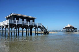 Pilat Sand Dune and Arcachon tour from Bordeaux