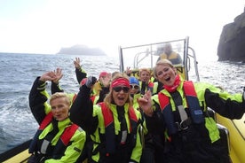 1-Hour Small Group Sightseeing Boat Tour in Vestmannaeyjar