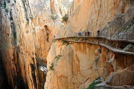 Visite en petit groupe du Caminito del Rey au départ de Malaga avec pique-nique