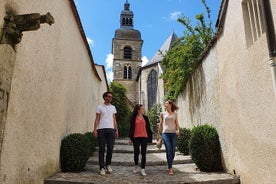 Reims eftermiddagstur Champagne och familjeodlare