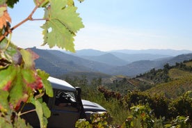 Aventure en 4x4 le long du Douro au départ de Porto