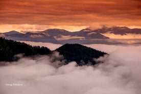 Koruldi Lake privat tur fra Mestia