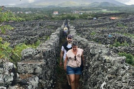 Pico Girl Power Wine Tasting and Cultural Experience