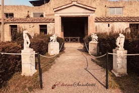 Private Tour durch Herculaneum mit Archäologe