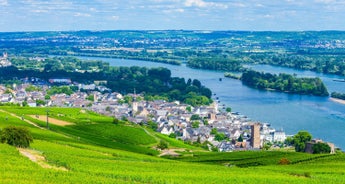 The romantic Rhine Valley and the rock of the Lorelei (port-to-port cruise)