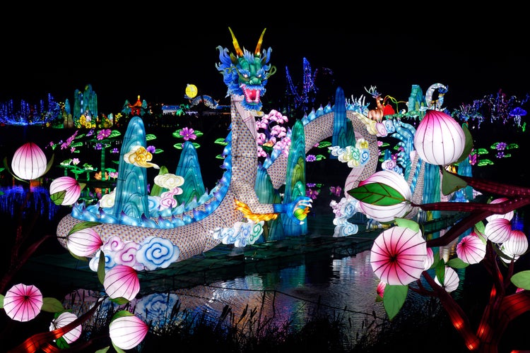 photo of view of The Festival des Lanternes in Blagnac - Blue dragon.