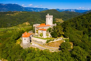 Capital of Slovenia, panoramic view with old town and castle.