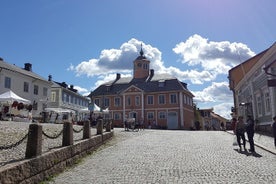 Borgåtur från Helsingfors eller Vanda