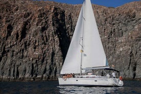 From Los Gigantes: Whale Watching Sailboat Cruise