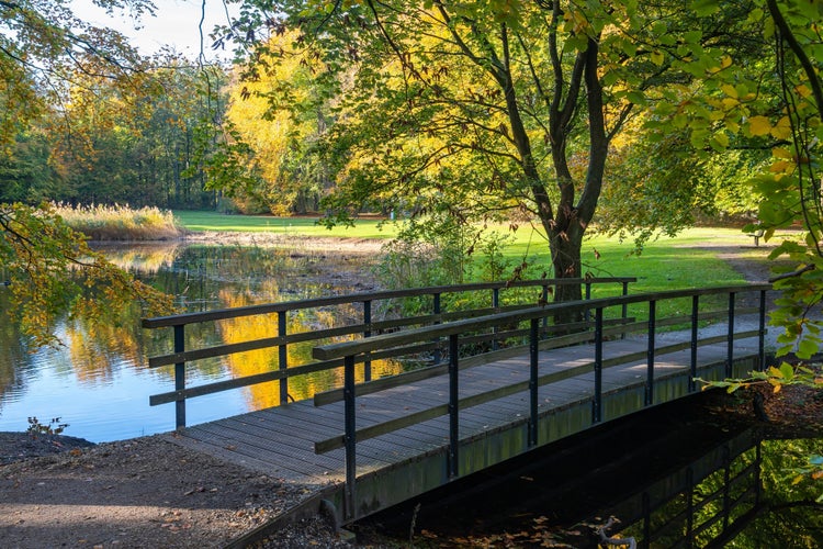 Autumn scenery with the bridge from the forest called Haagse Bos, in the Hague, The Netherlands