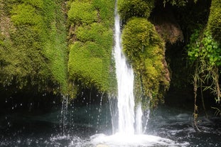 Vadu Crişului waterfall