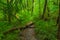 Photo of Forest footpath in Rezavka nature reservation near city center of Ostrava, Czechia.