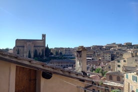 Privat tur: Siena Walking Tour