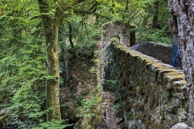 Scone Palace, Nature, Pitlochry, Whisky Experience from Glasgow