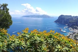 A special day in Capri - walking and boat tour