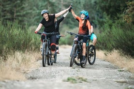 Tour por la ciudad y bicicleta de montaña en Salzburgo