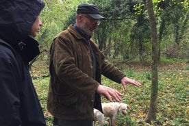 Promenade à cheval, chasse aux truffes et déjeuner (ou dîner) de luxe