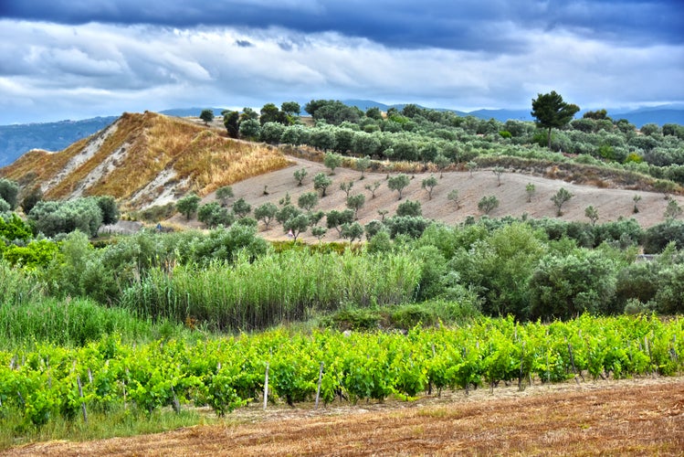 Photo of Landscape view of Calabria, in the Province of Crotone, Italy.