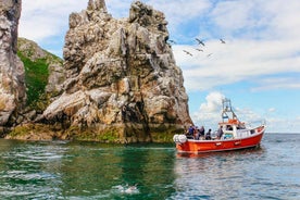 Dublin: Howth Coastal Boat Tour