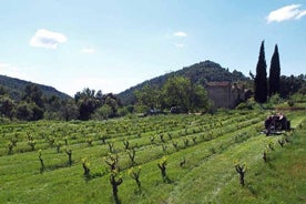 La fuga dell'uva! In bicicletta in uno splendido scenario con degustazione di vini