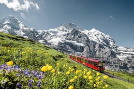 From Interlaken: Jungfraujoch-Top of Europe train ticket